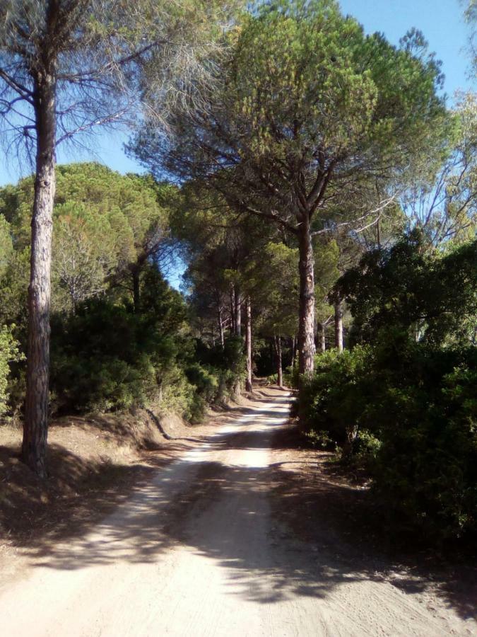 Appartamento Vacanze Sardegna Siniscola Εξωτερικό φωτογραφία